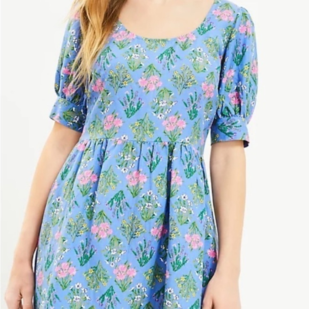 NWT Loft dress